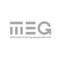 MEG